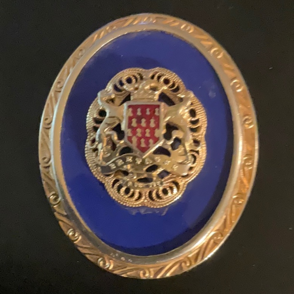 Bretagne A Ma Vie France Coat Of Arms Pendant Brooch